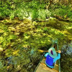 屈斜路ecoツアーズ カヌーのりば