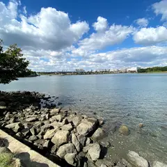 大井ふ頭中央海浜公園なぎさの森