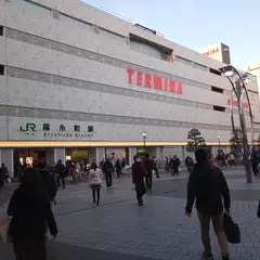 テルミナ