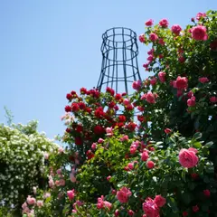 さわやかパーク