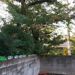 草香江公園