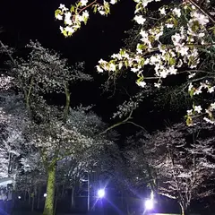 旭山公園