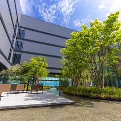 THE BLOSSOM KUMAMOTO