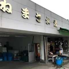 かねまさ水産