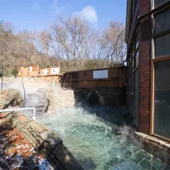 夢実の国