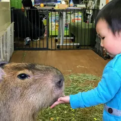 カピバランドPUIPUI