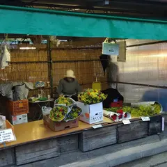 神子田朝市