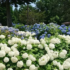 函館市 市民の森
