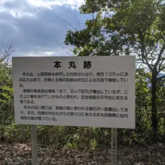 新高山城 本丸跡
