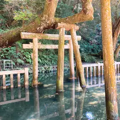 鹿島神宮