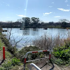 江津湖