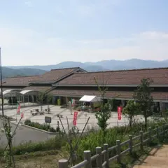 道の駅はわい