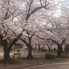 浦江公園