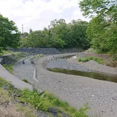 ウォーターパーク シラヤマ