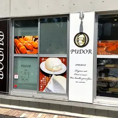 PUDOR