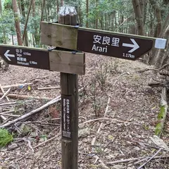 今山
