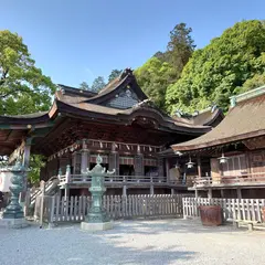 金刀比羅宮神苑の桜花