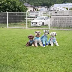 アイリック