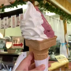 広瀬牧場 ウエモンズハート