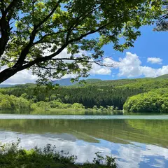 男沼・女沼