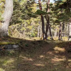 戸隠神社一の鳥居