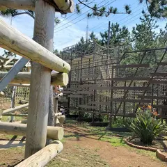 アドベンチャーアイランドVOTAN（ボウタン）