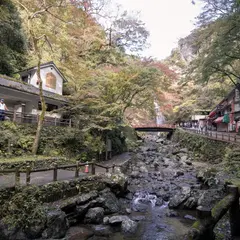 明治の森箕面国定公園