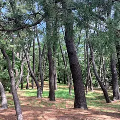 稲毛公園