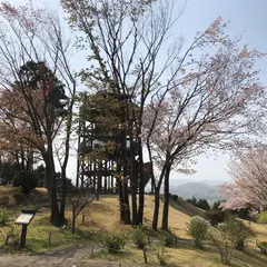 仙元山