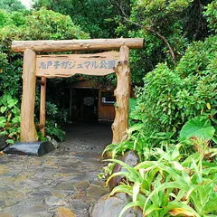 志戸子ガジュマル公園