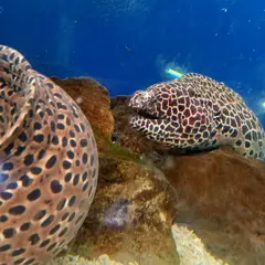 寺泊水族館博物館