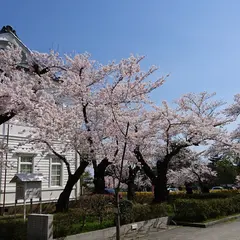 鶴岡公園中央駐車場