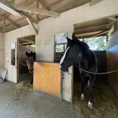 マーサファーム