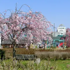 沖東公園