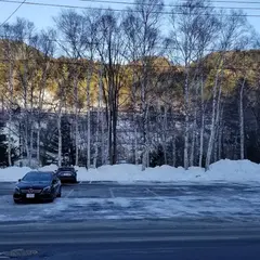 奥日光湯元本通り南駐車場