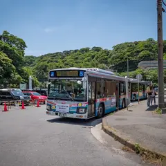 観音崎（バス）