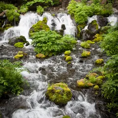 ふきだし公園湧水口