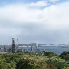 白鳥湾展望台