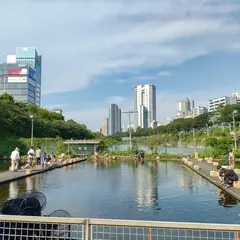 市ヶ谷フィッシュセンター つりぼり
