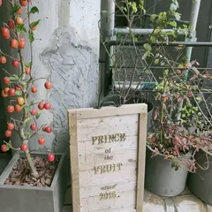 プリンス オブ ザ フルーツ （PRINCE of the FRUIT ）