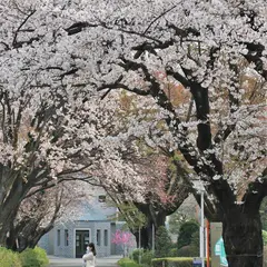 跡見学園女子大学 新座キャンパス