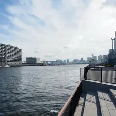 豊海運動公園
