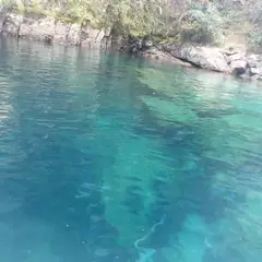 仁淀川アウトドアセンター