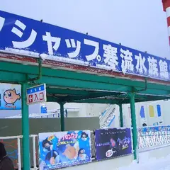 ノシャップ寒流水族館