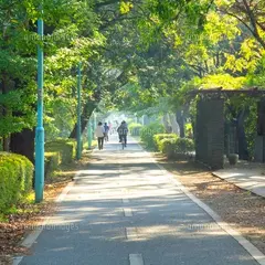 グリーンロード