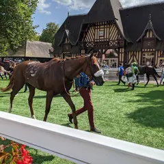 ドーヴィル競馬場