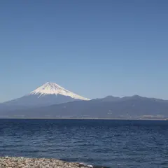 大瀬崎
