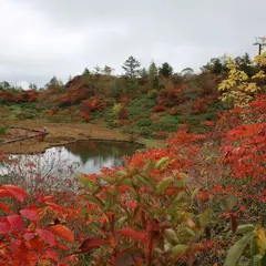 武具脱の池