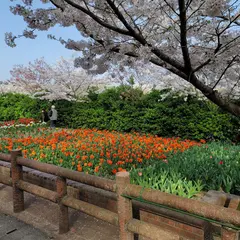 デ・レイケ公園