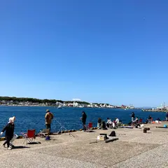 向ヶ崎公園